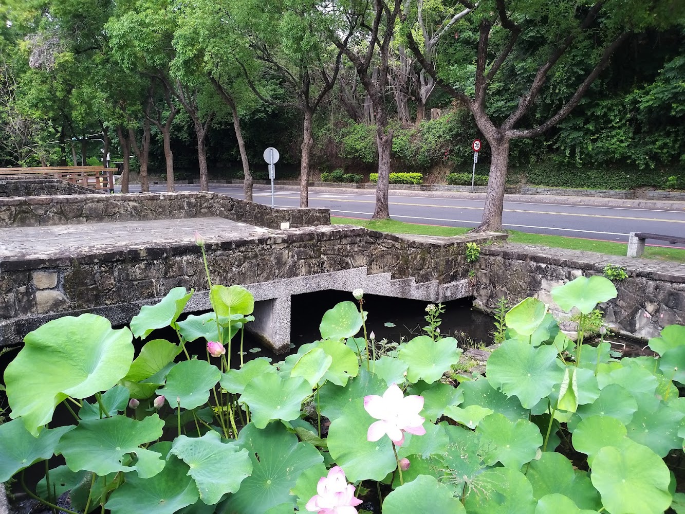 彰化景點推薦｜2025年必訪的隱藏秘境，你不可錯過的旅遊清單