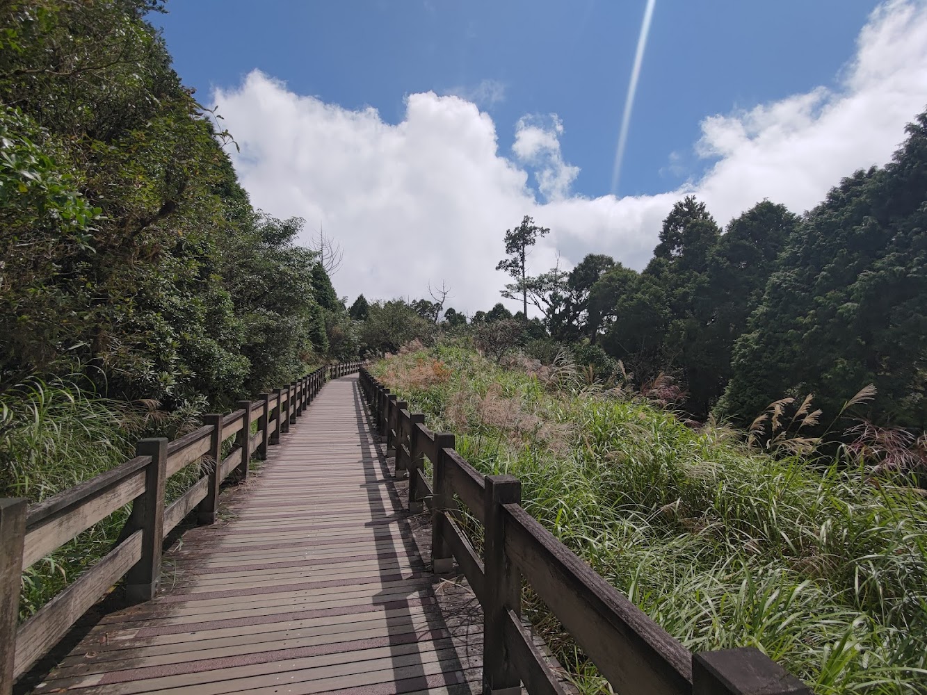 探索太平山國家森林遊樂區的5個必做活動｜揭開隱藏的自然魅力｜太平山步道