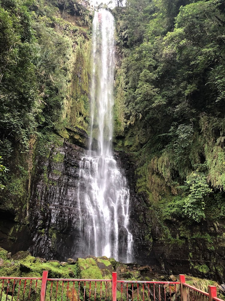 新竹步道5大必訪景點｜探索大自然之美的最佳去處｜五峰旗瀧步道