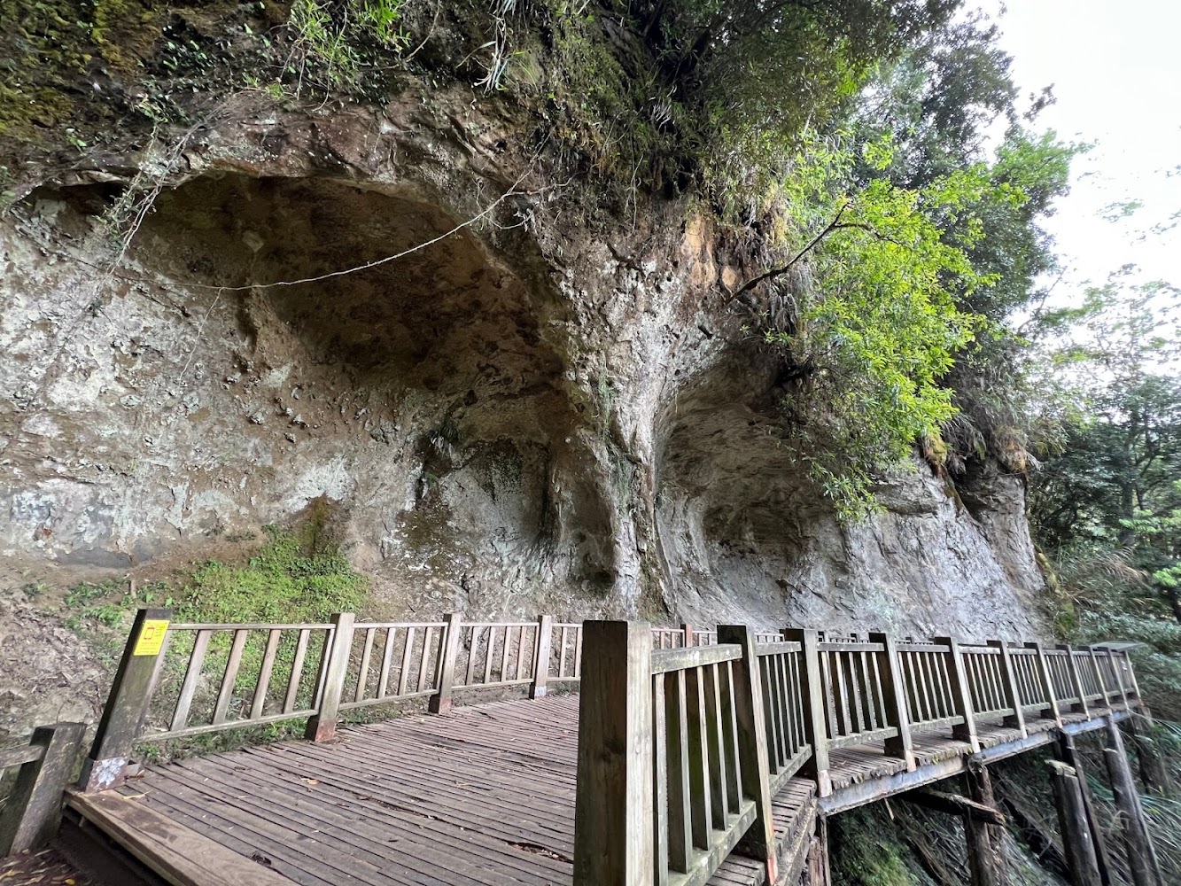 Sun-Link-Sea Forest and Nature Resort