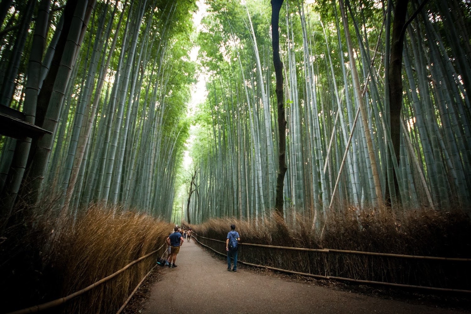 杉林溪必去景點推薦｜避開人潮的祕境之旅