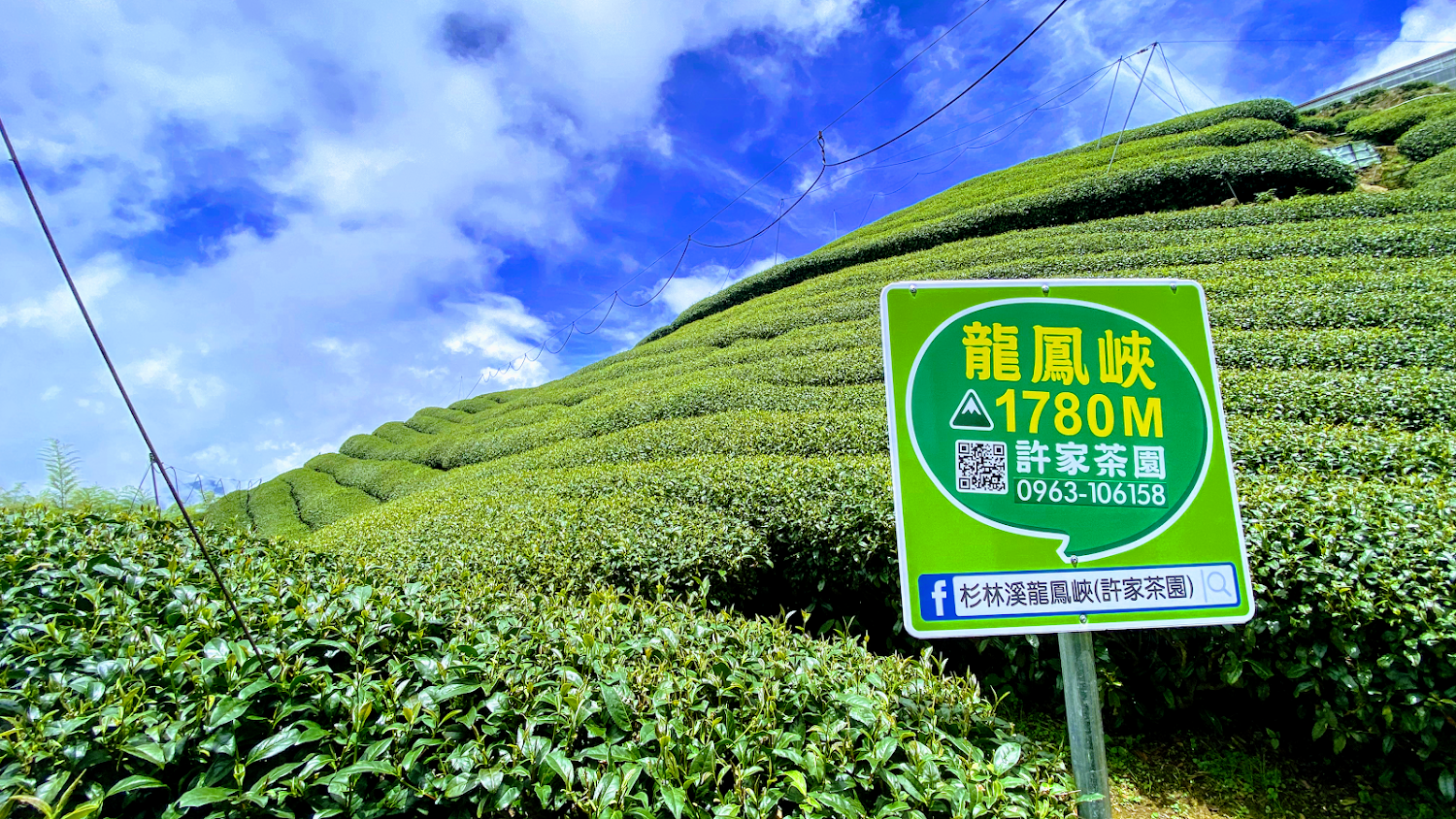 杉林溪旅遊攻略｜你不可錯過的秘境景點