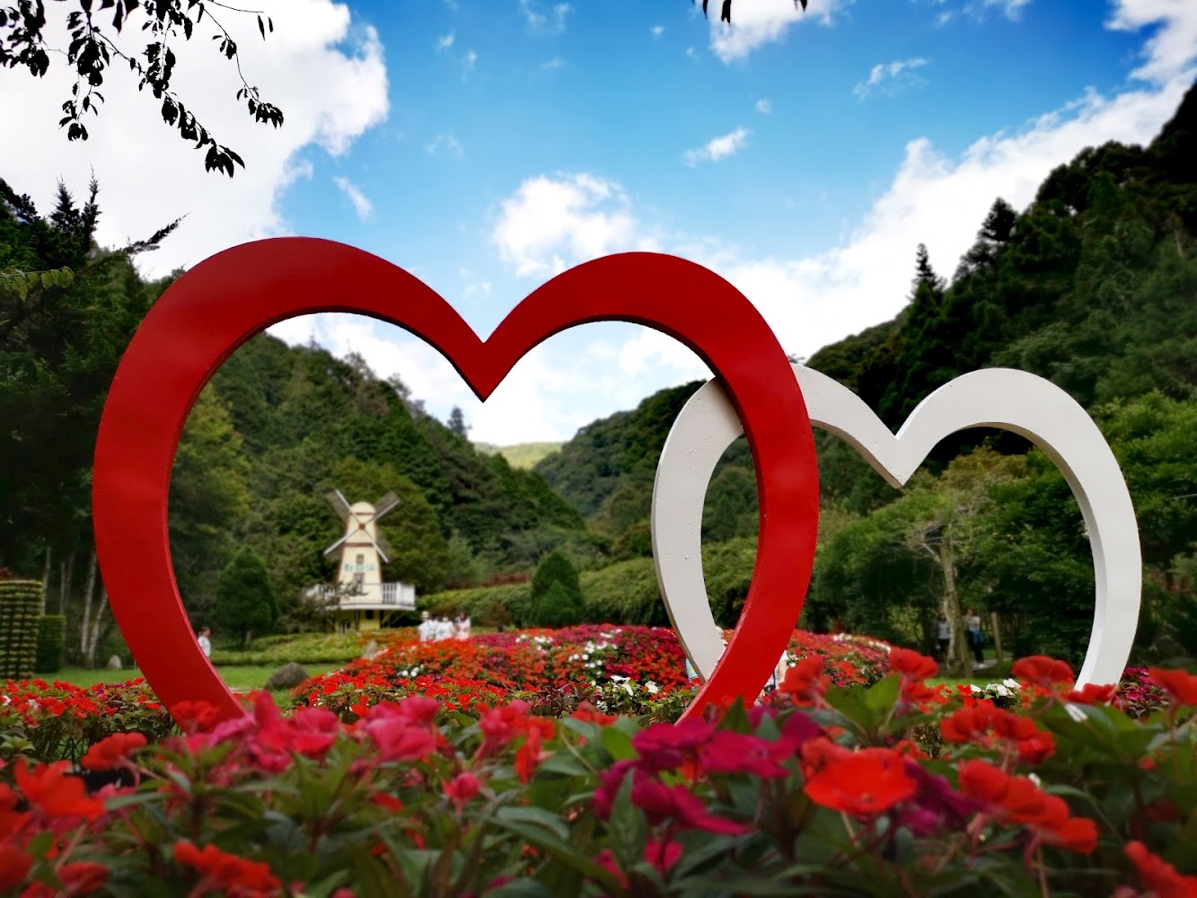 杉林溪旅遊攻略｜探索隱藏的自然秘境與在地美食