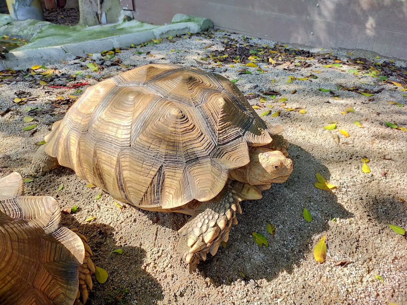 林口景點探秘：2025必訪的驚奇景點