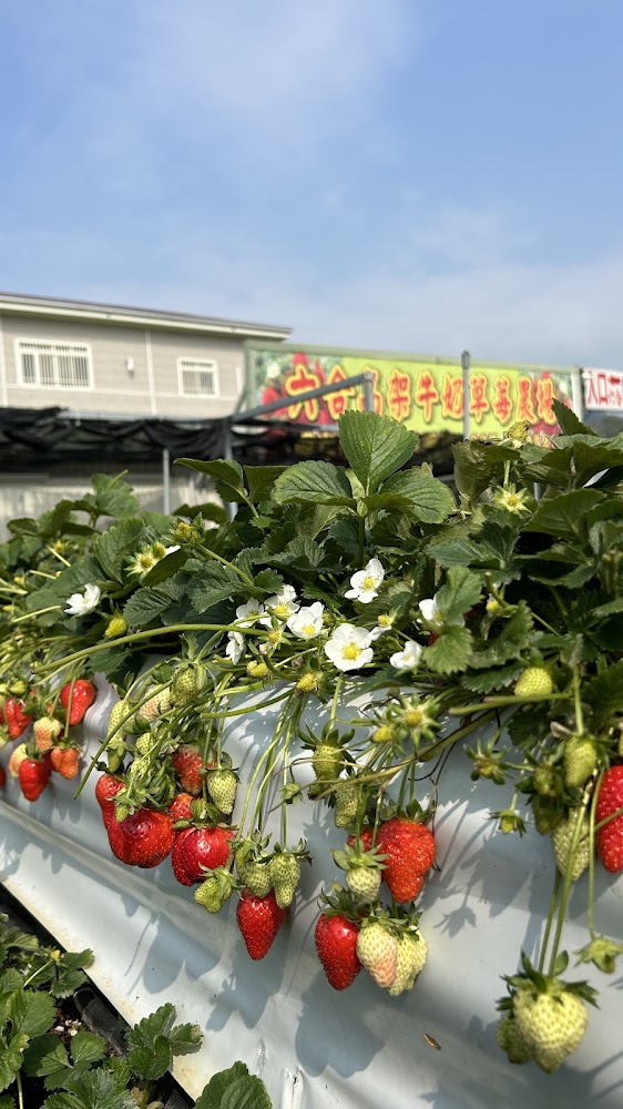 苗栗景點大公開｜避開人潮的私藏景點推薦