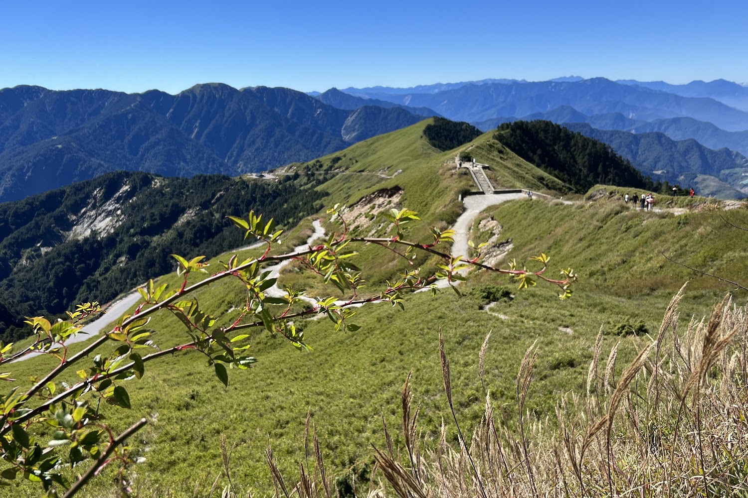 谷關七雄徒步探險指南：2025年度必備攻略與安全提醒！