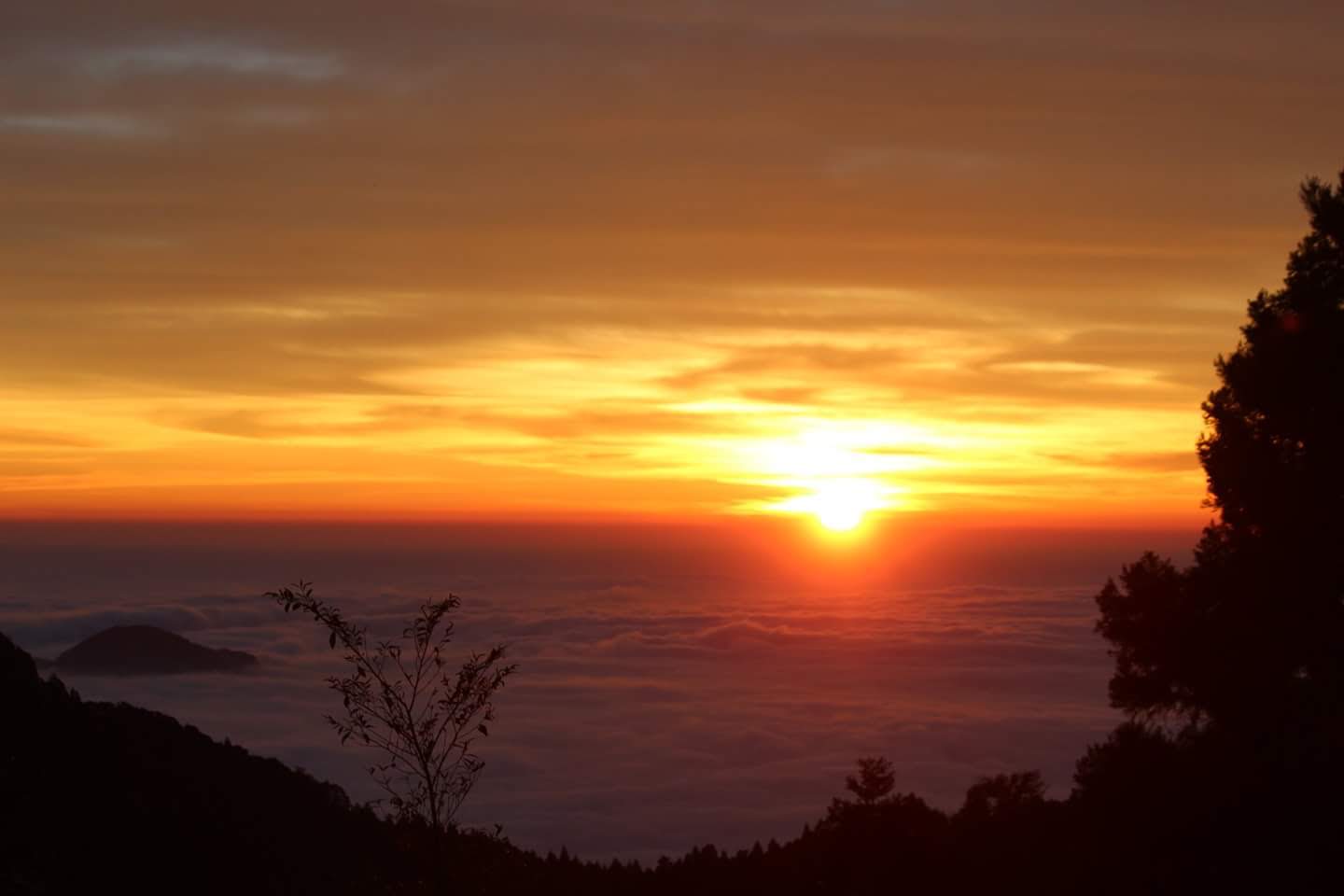 阿里山旅遊必知攻略：不能錯過的景點與美食推薦