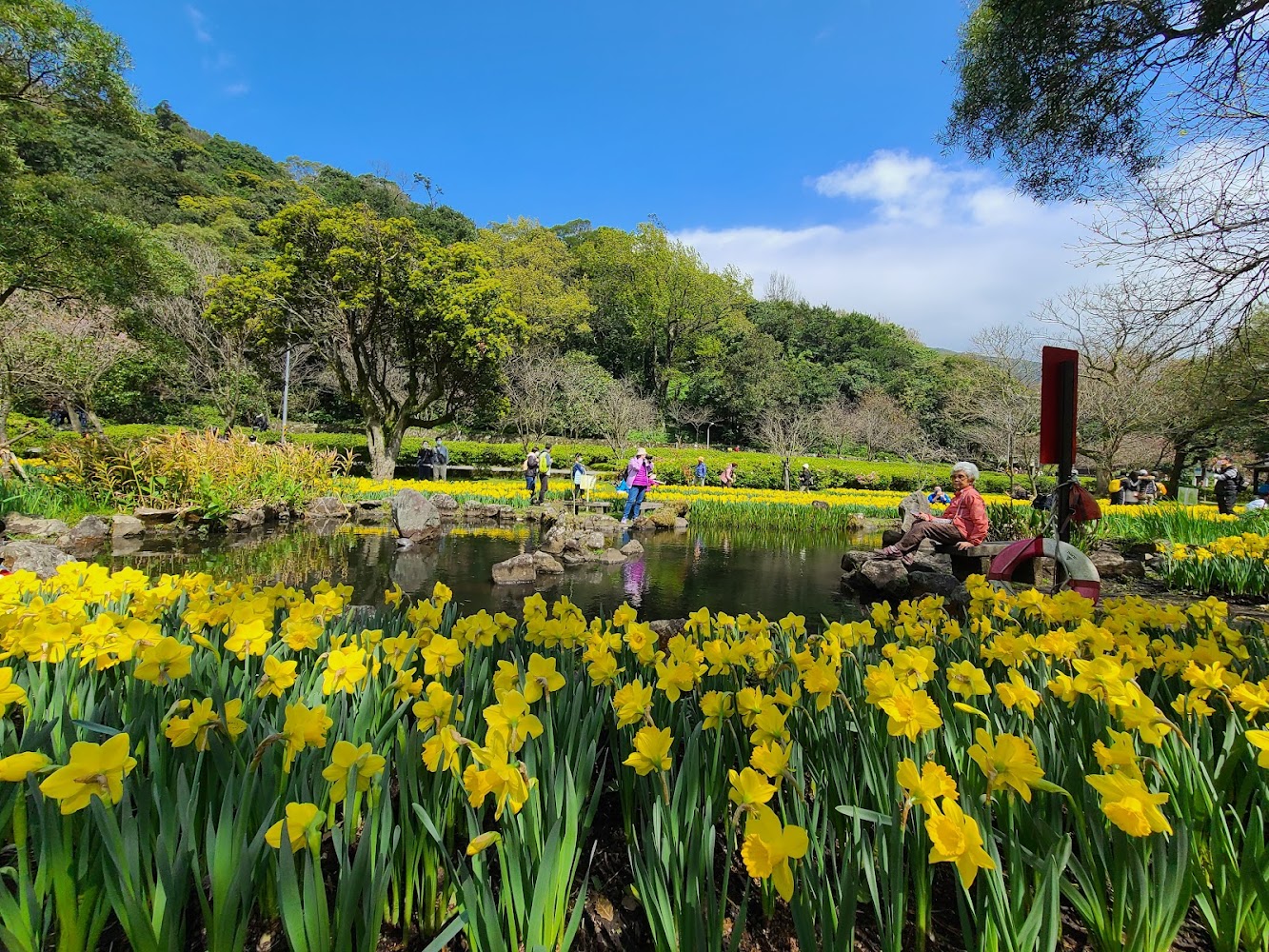 陽明山湖山綠地