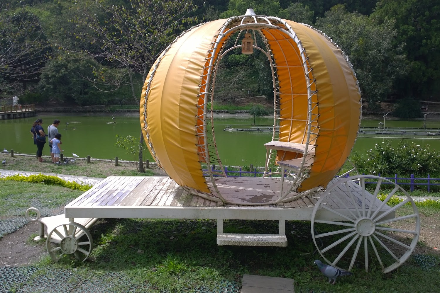 驚艷的東勢林場景點：不可錯過的秘境探索指南