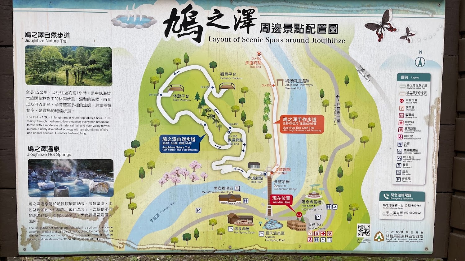 鳩之澤溫泉必去指南｜2025不能錯過的療癒景點