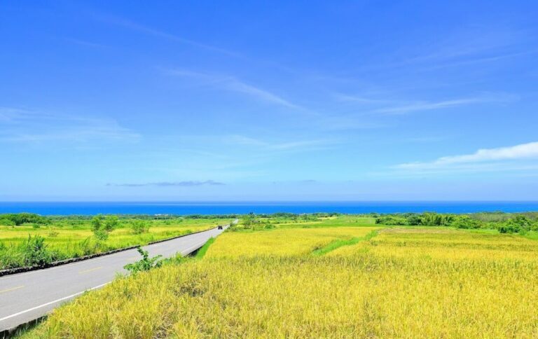 長濱旅遊攻略｜必訪景點推薦