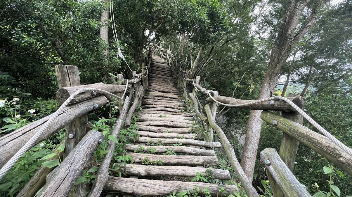 探索大坑步道｜適合健行與觀察野生動植物的最佳去處