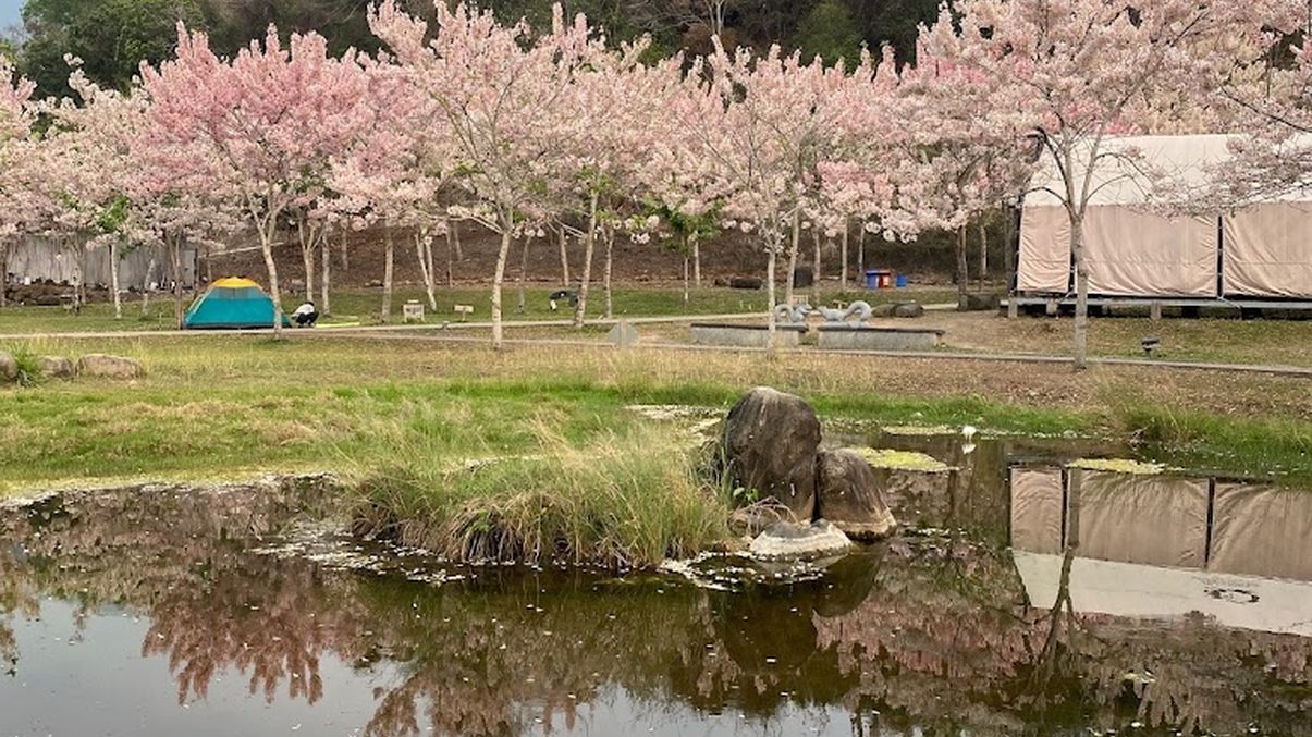 寶來溫泉：完美放鬆的天然療癒之地