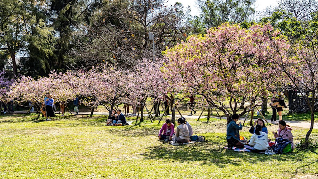 新竹一日遊開車攻略｜最佳景點一次看