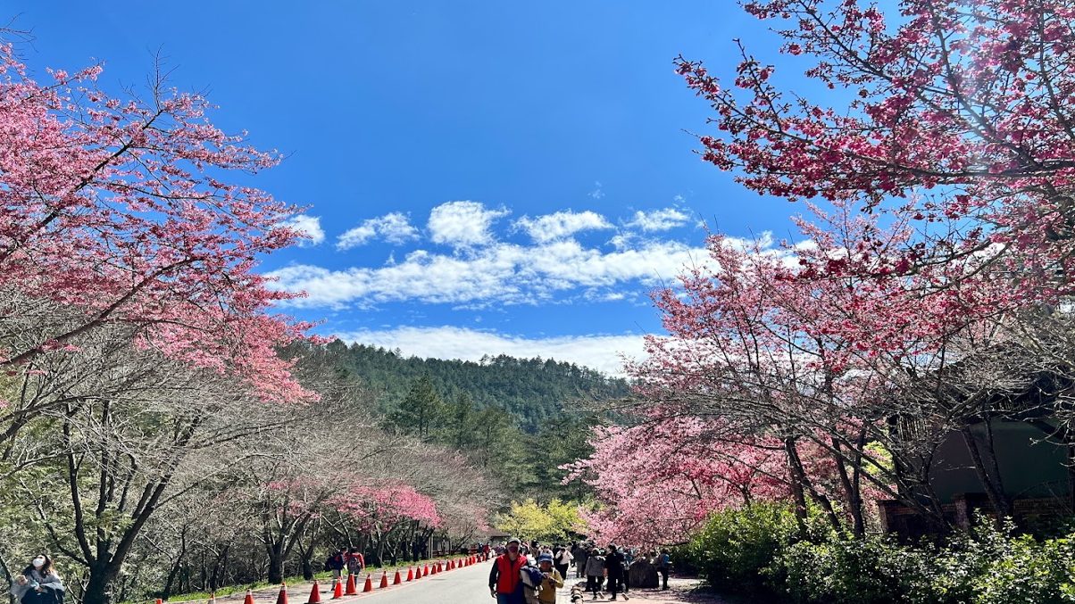 探索武陵農場：四季如春的自然秘境與活動