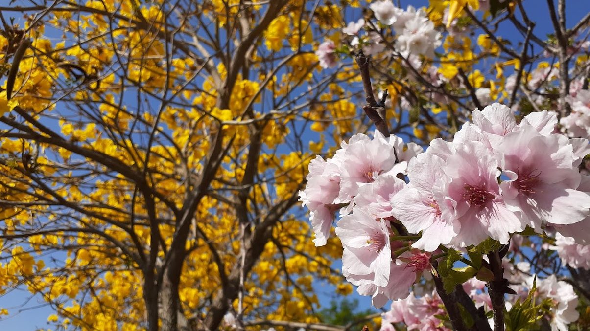 新竹峨眉湖：探訪大埔水庫的最佳遊玩指南