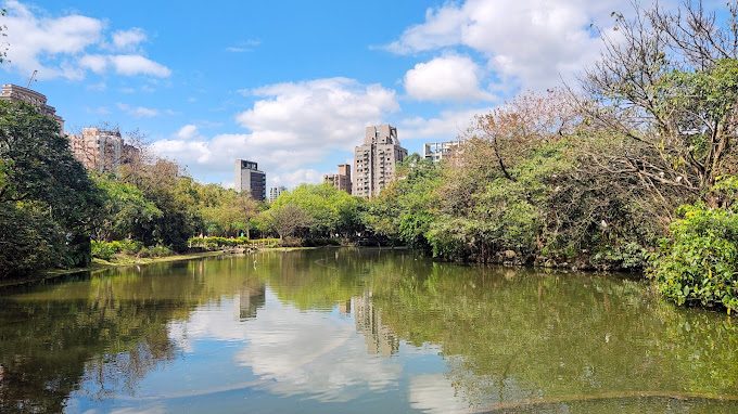 大安森林公園的最佳遊玩指南｜探索台北城市綠肺的美好