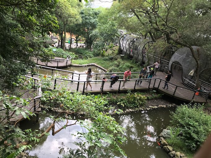 桃園景點: 探索桃園市必訪的熱門景點