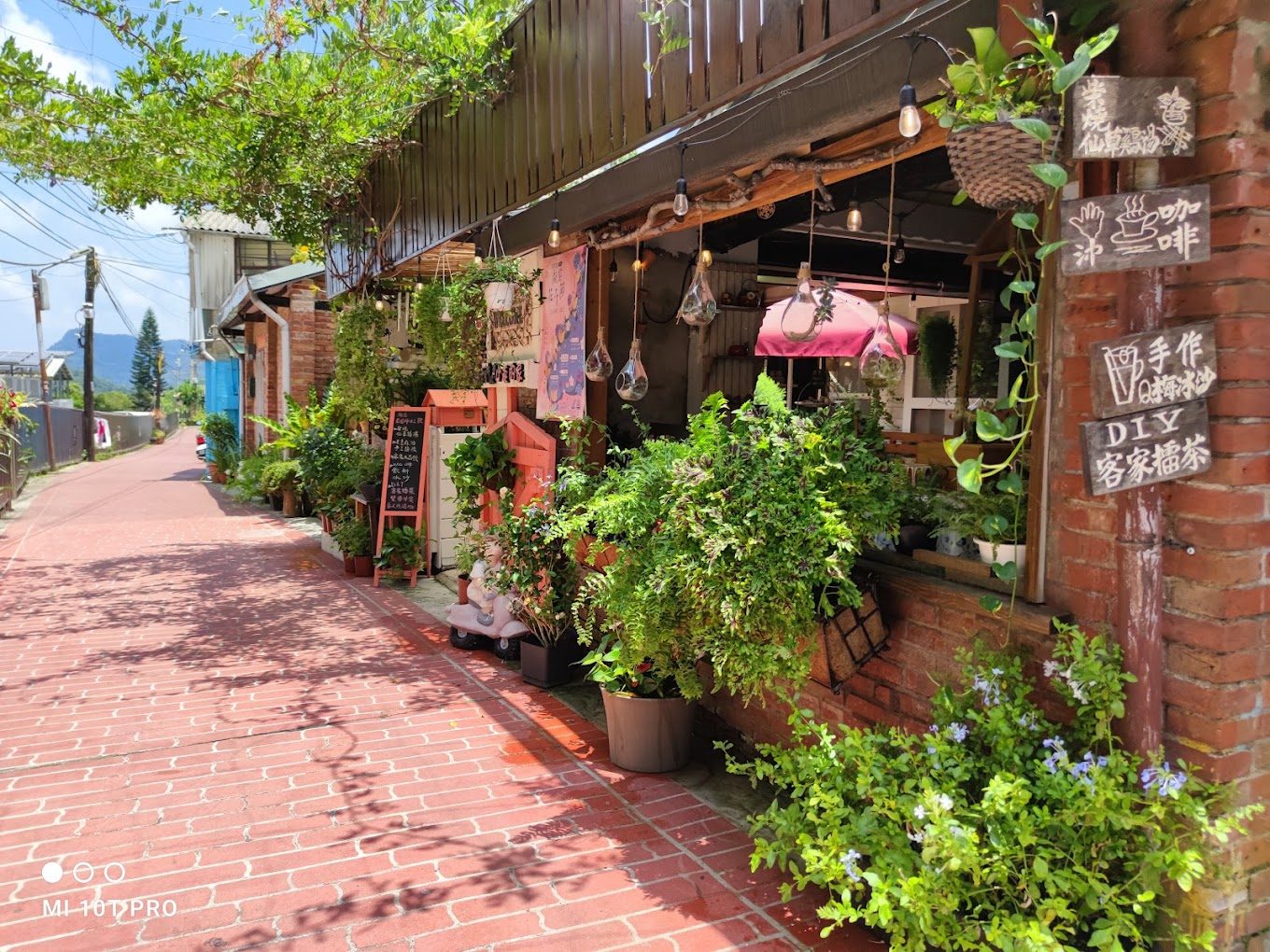 苗栗景點攻略：探索南庄老街、海角樂園等必訪景點