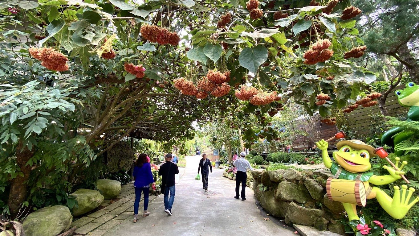 花露農場旅行必知：如何讓你的旅程更加難忘