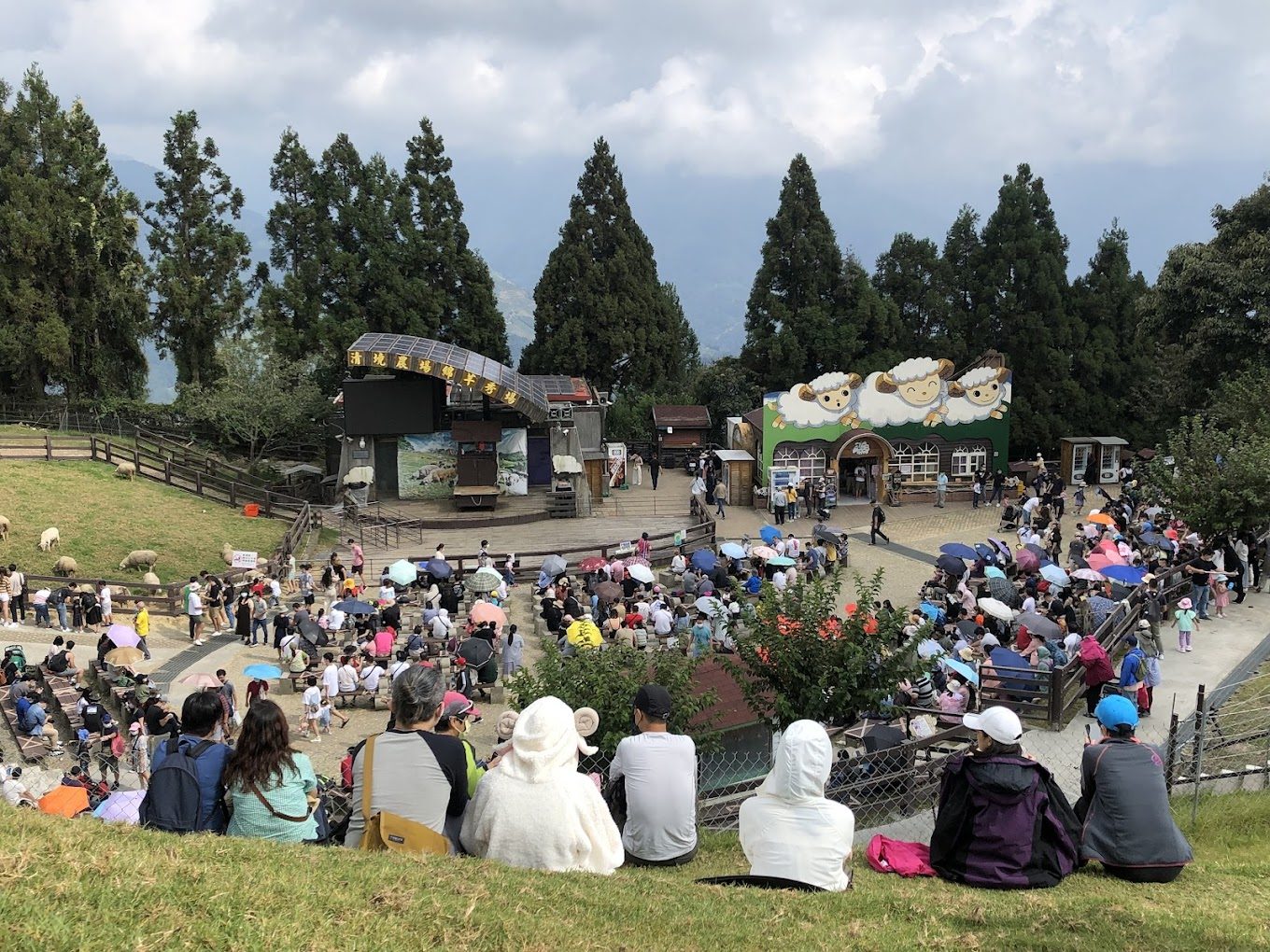 清境農場必去攻略｜2025最新的體驗與避開的遊玩陷阱