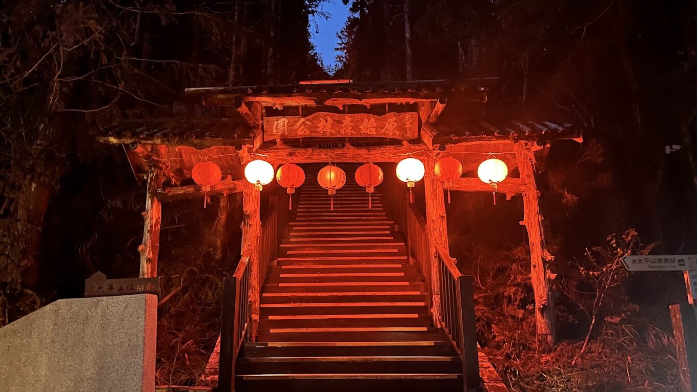 【2025】不可錯過的太平山國家森林遊樂區！必做活動指南