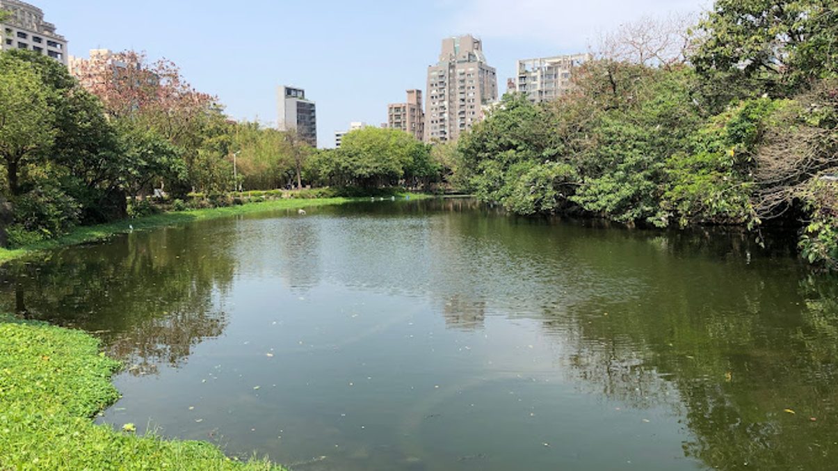 大安森林公園：城市綠洲的完美休閒地點