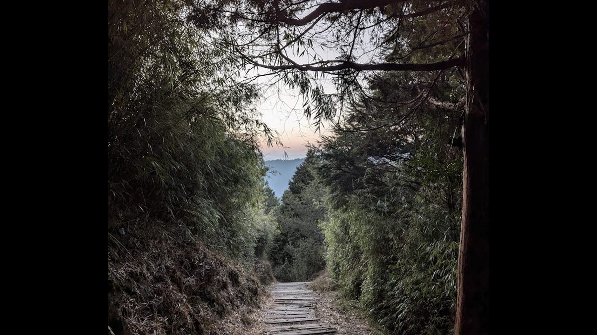 大雪山國家森林遊樂區的必訪景點:提升你的旅行體驗!