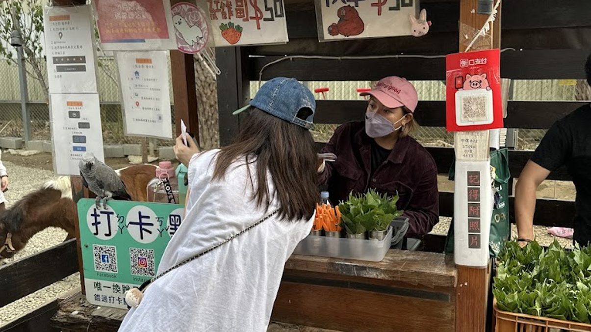 新竹景點推薦：探索新竹公園與周邊活動