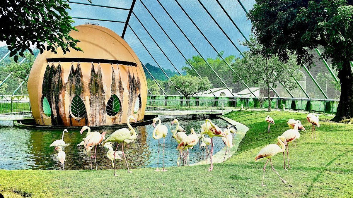 九九峰動物樂園：家庭親子遊的新亮點，精彩瞬間不容錯過！