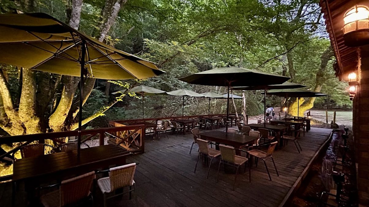 三義餐廳推薦：探索三義的客家美食寶藏