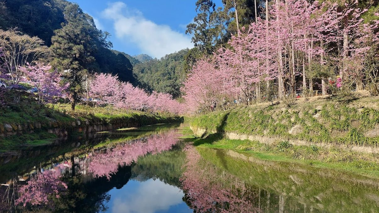 杉林溪的最佳旅遊攻略：享受豐富自然與人文之美