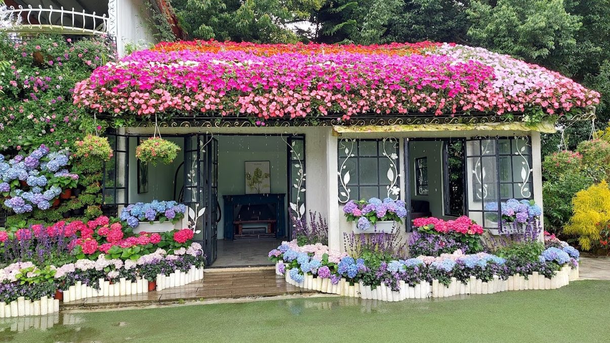花露農場：探索美麗繡球花的最佳去處