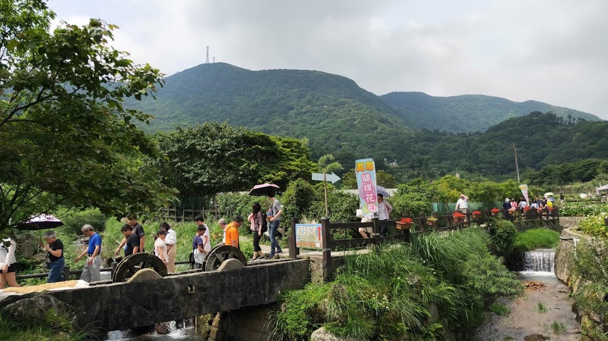 探索竹子湖:尋找北投區最美的風景與美食