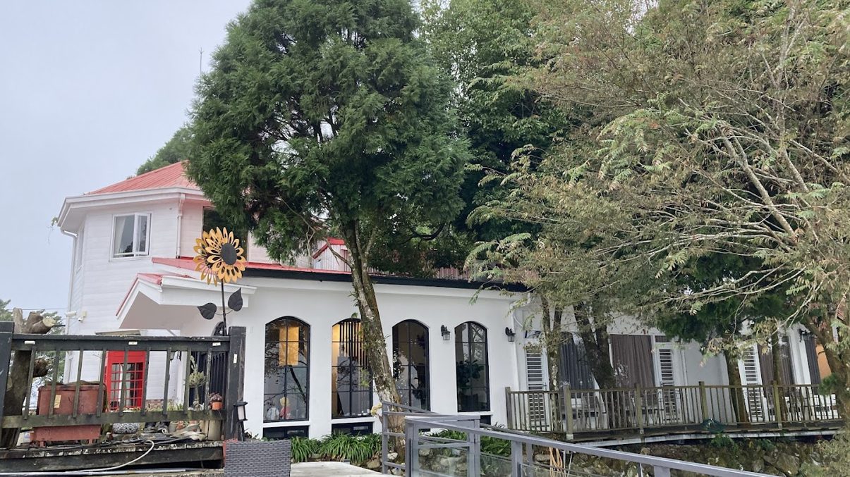 阿里山住宿指南：選擇最佳旅館和民宿，打造舒適旅程