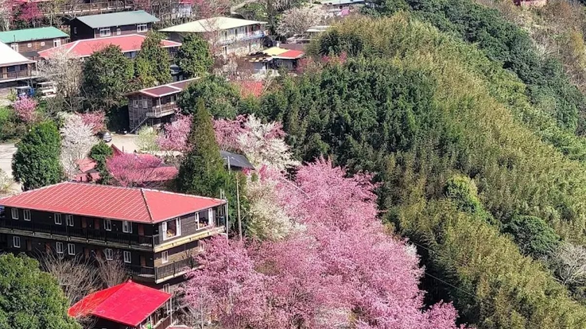 探索司馬庫斯：一個充滿魅力的原住民村落