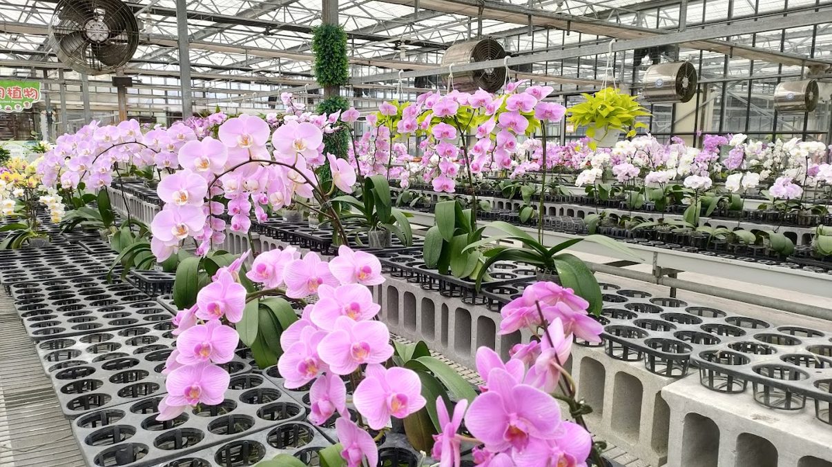 礁溪熱門景點｜探索秘境的必訪地點