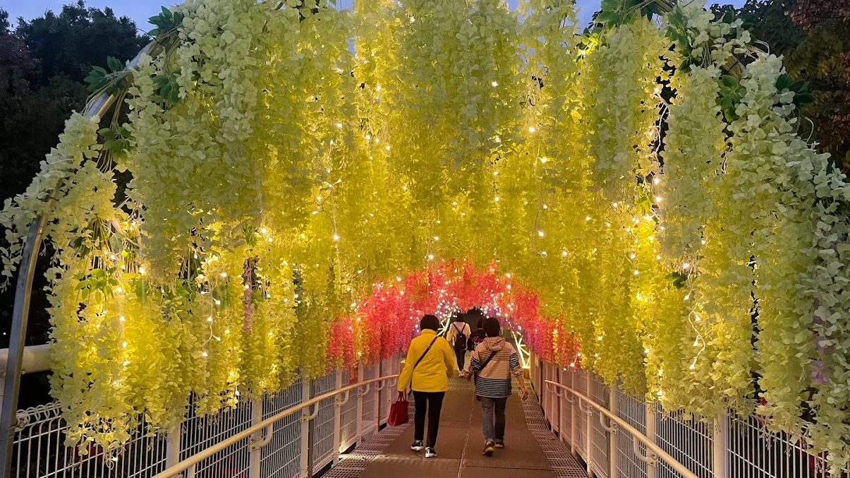 彰化景點推薦：八卦山及其周邊魅力無限