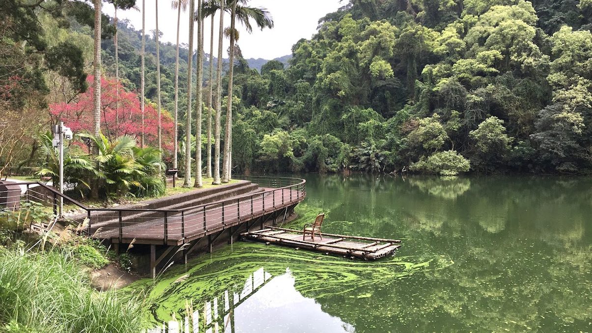 探索大溪景點｜發掘桃園最美的旅遊秘境
