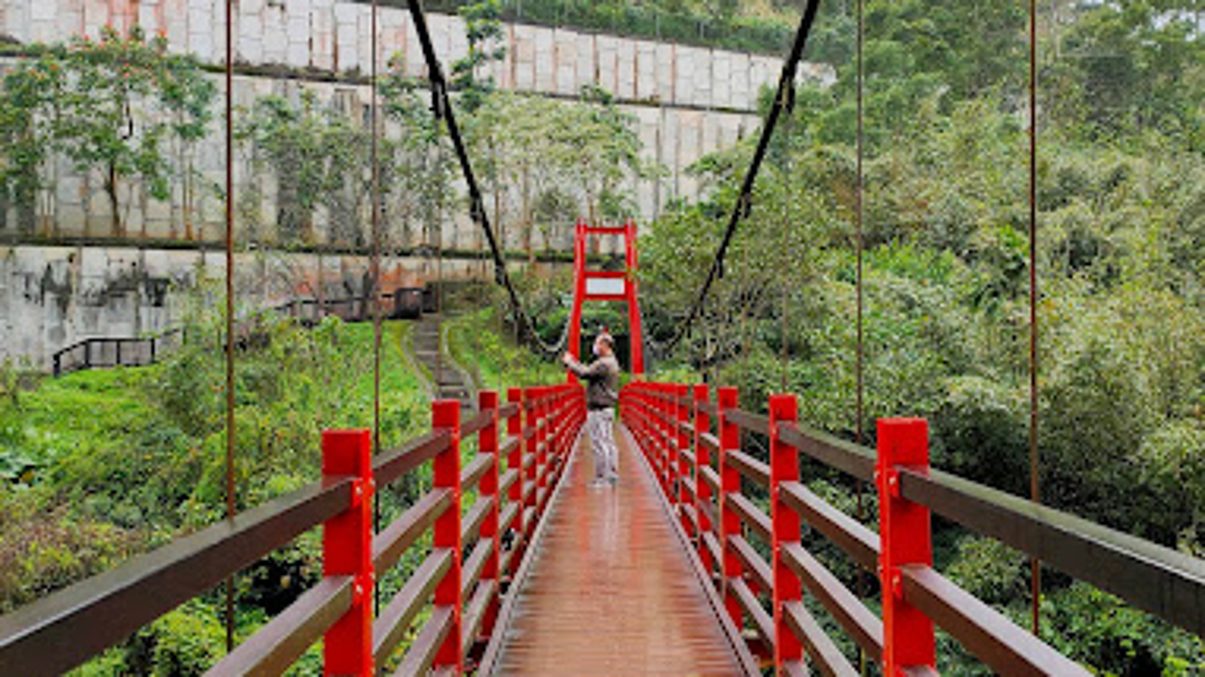 草嶺古道的魅力：體驗自然之美與歷史文化