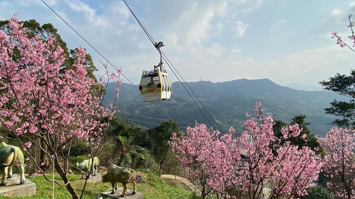 貓空纜車的迷人之旅｜如何享受台北的高空美景