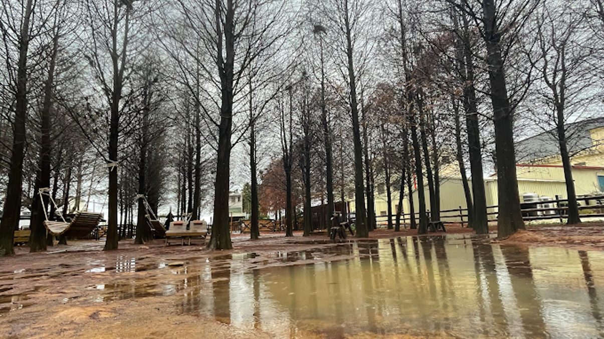 南投市景點推薦|發現必訪景點,讓你的旅程更完美