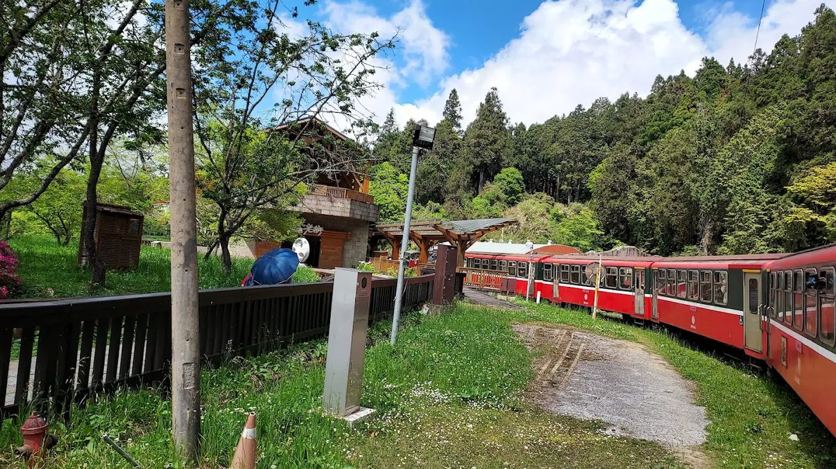 森林鐵路｜探索阿里山小火車的魅力與旅遊熱點