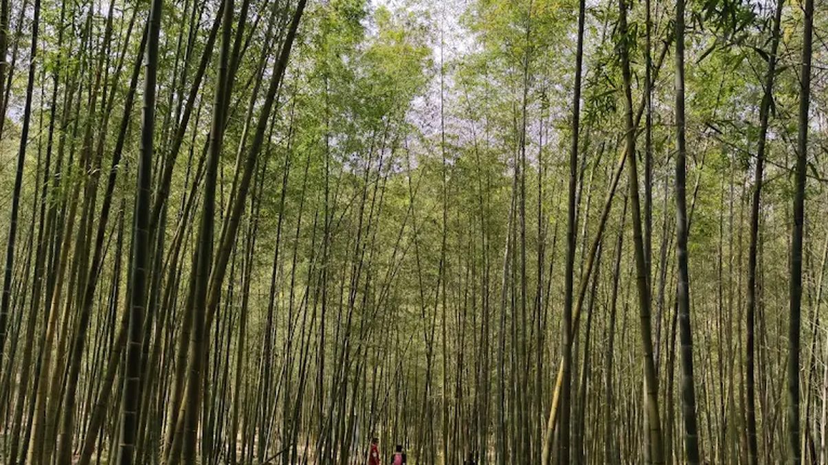 南投景點推薦：一次滿足你的旅遊需求