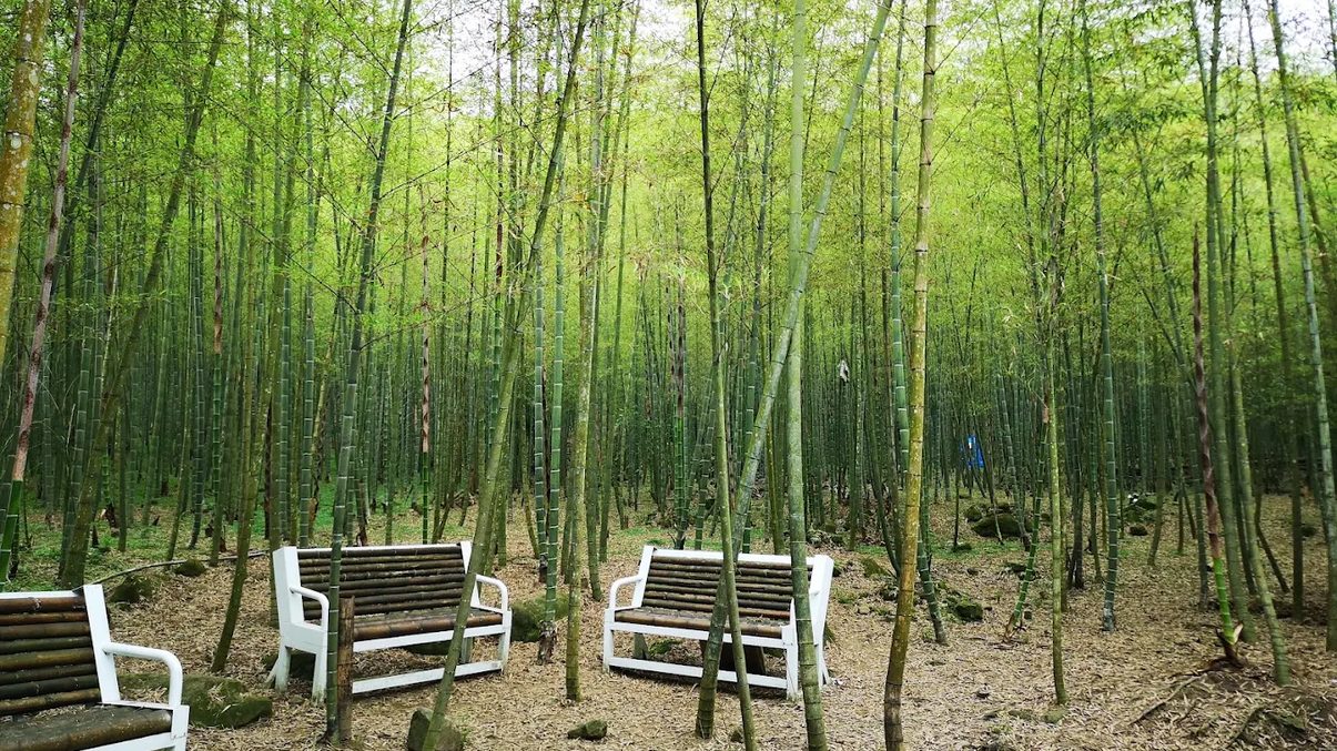 南投景點推薦：一次滿足你的旅遊需求