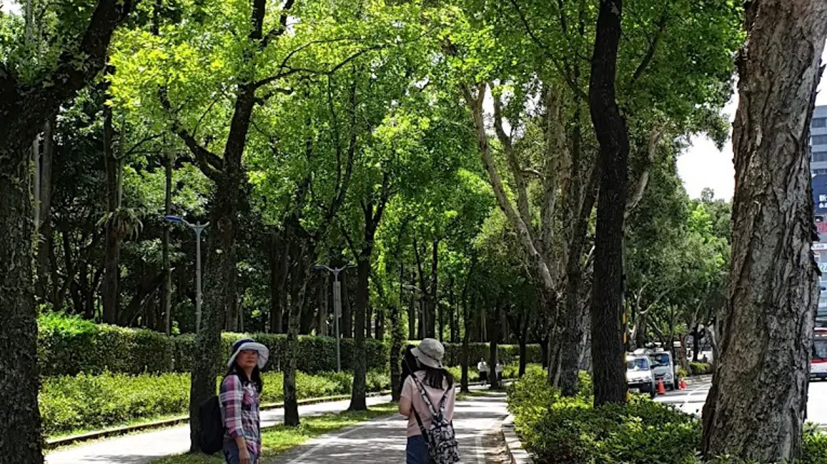 台北景點推薦：大安森林公園、陽明山國家公園及更多