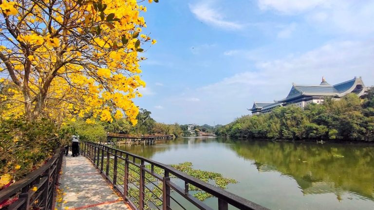 峨眉湖攻略：探索大埔水庫的最佳旅遊秘訣