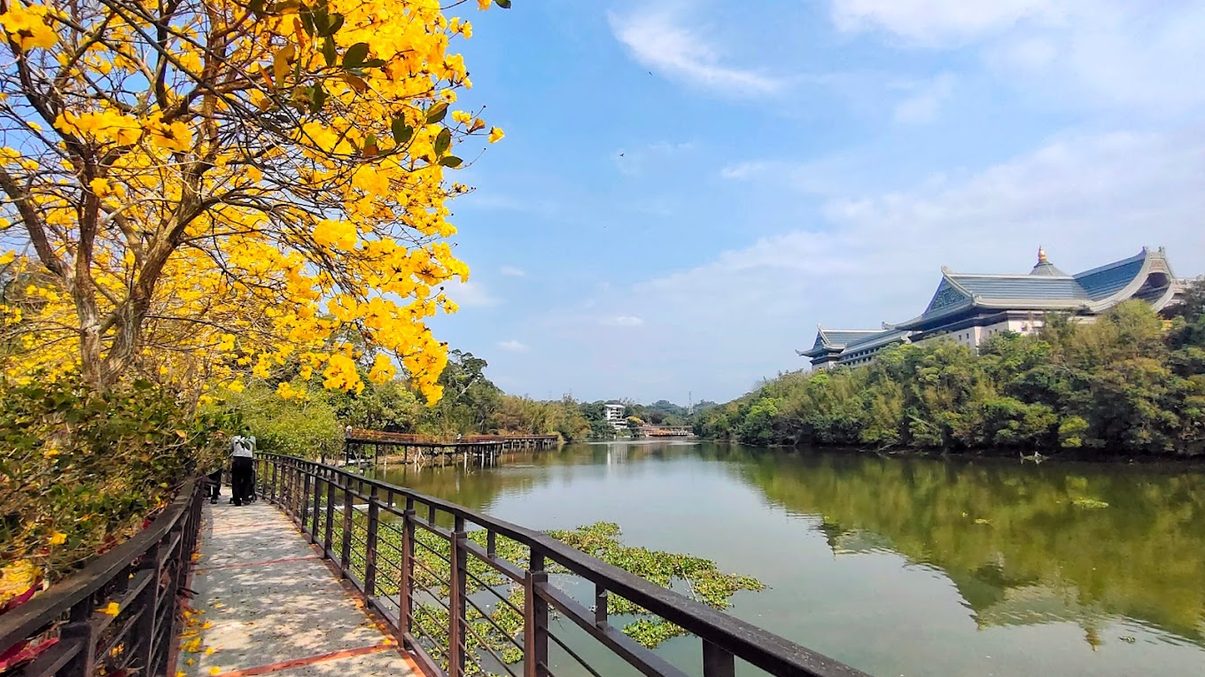 峨眉湖攻略：探索大埔水庫的最佳旅遊秘訣