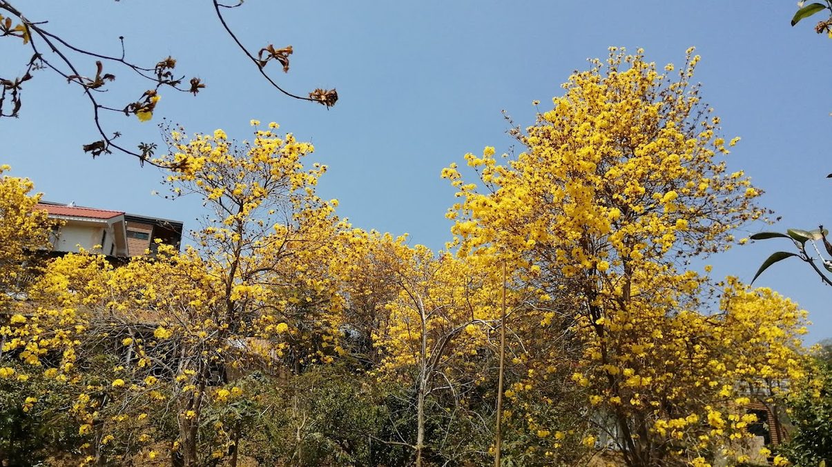 新竹峨眉湖：探訪大埔水庫的最佳遊玩指南