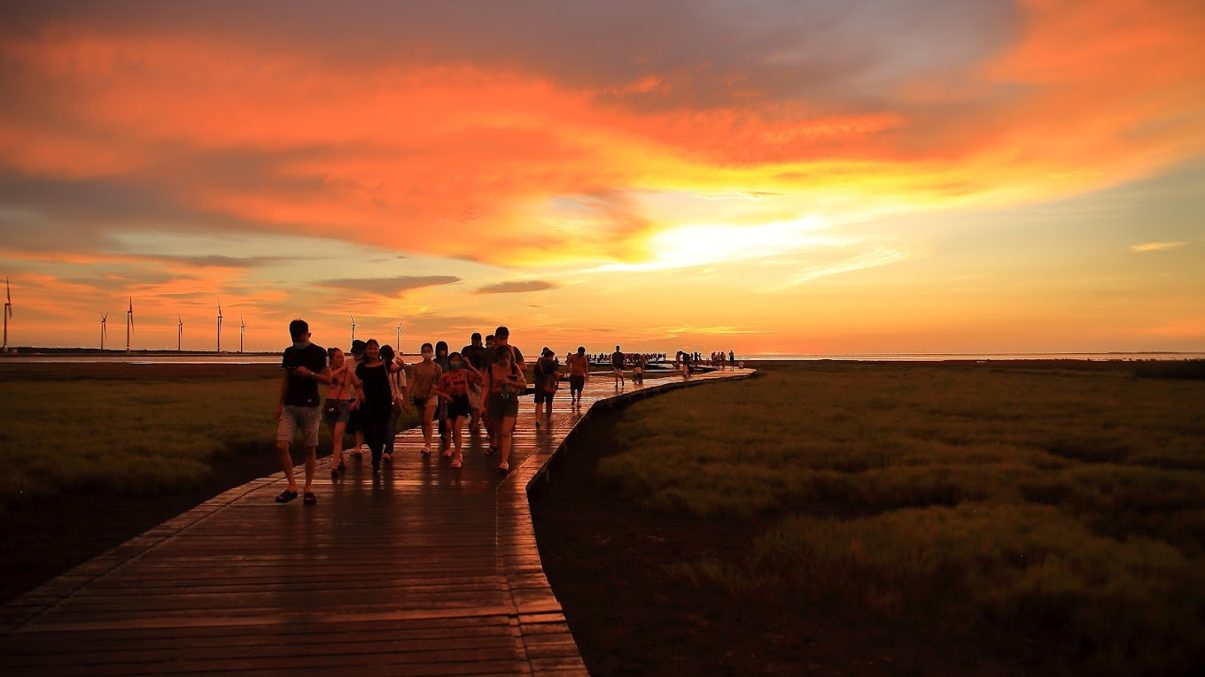 高美濕地潮汐觀察：最佳拍攝時刻與探索小指南